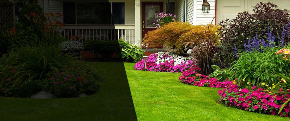 Wyoming Landscapers