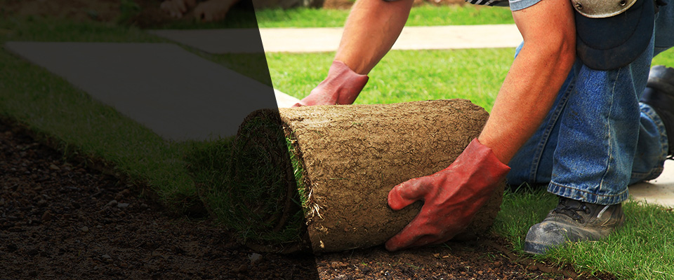 Wyoming Landscapers